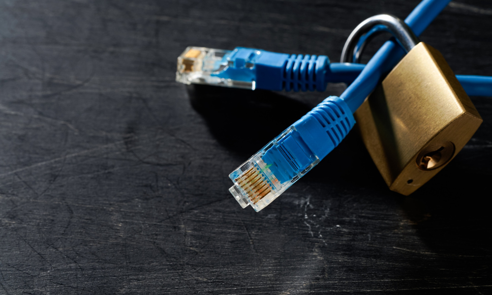 Why Network Security Is Important: Essential Tips for Protecting Your Business